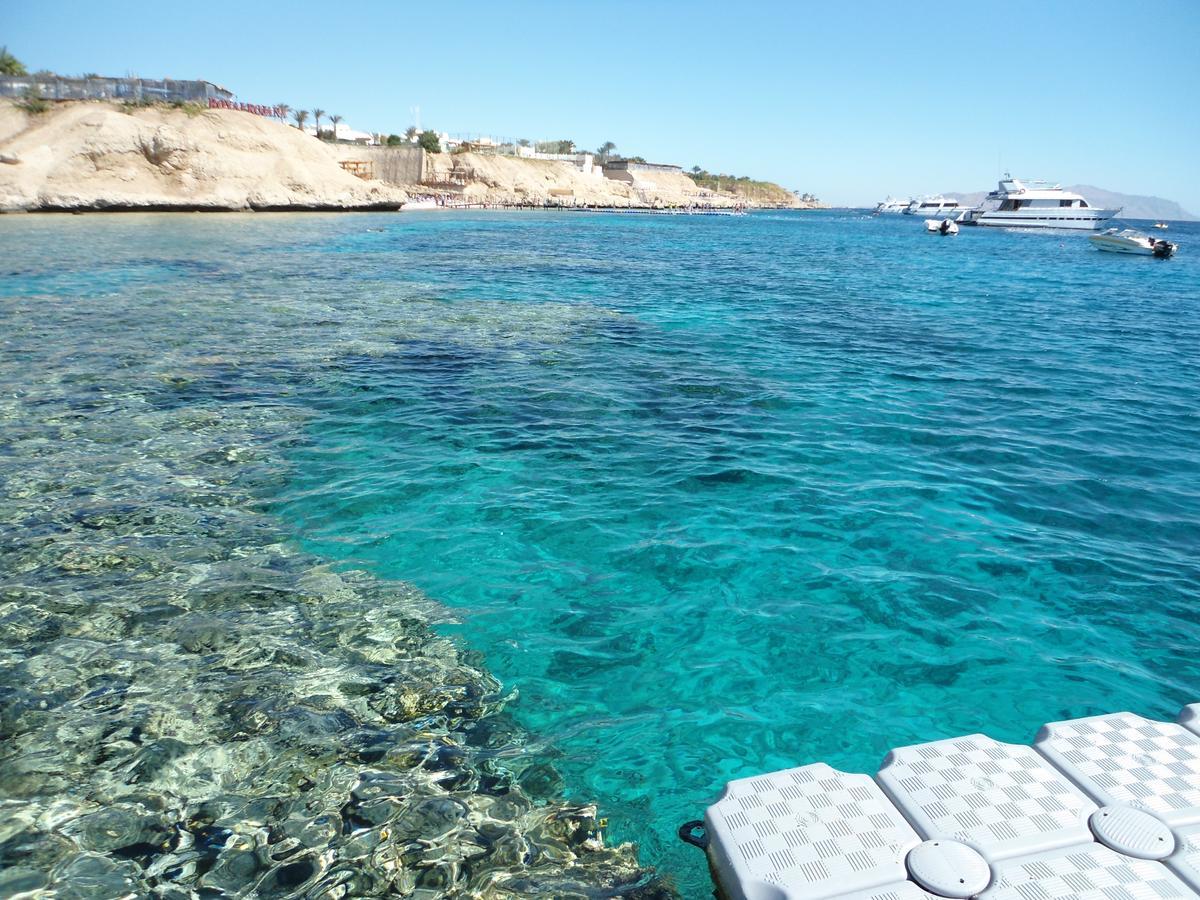 Sharks Bay Oasis Apartment Σαρμ Ελ Σέιχ Εξωτερικό φωτογραφία