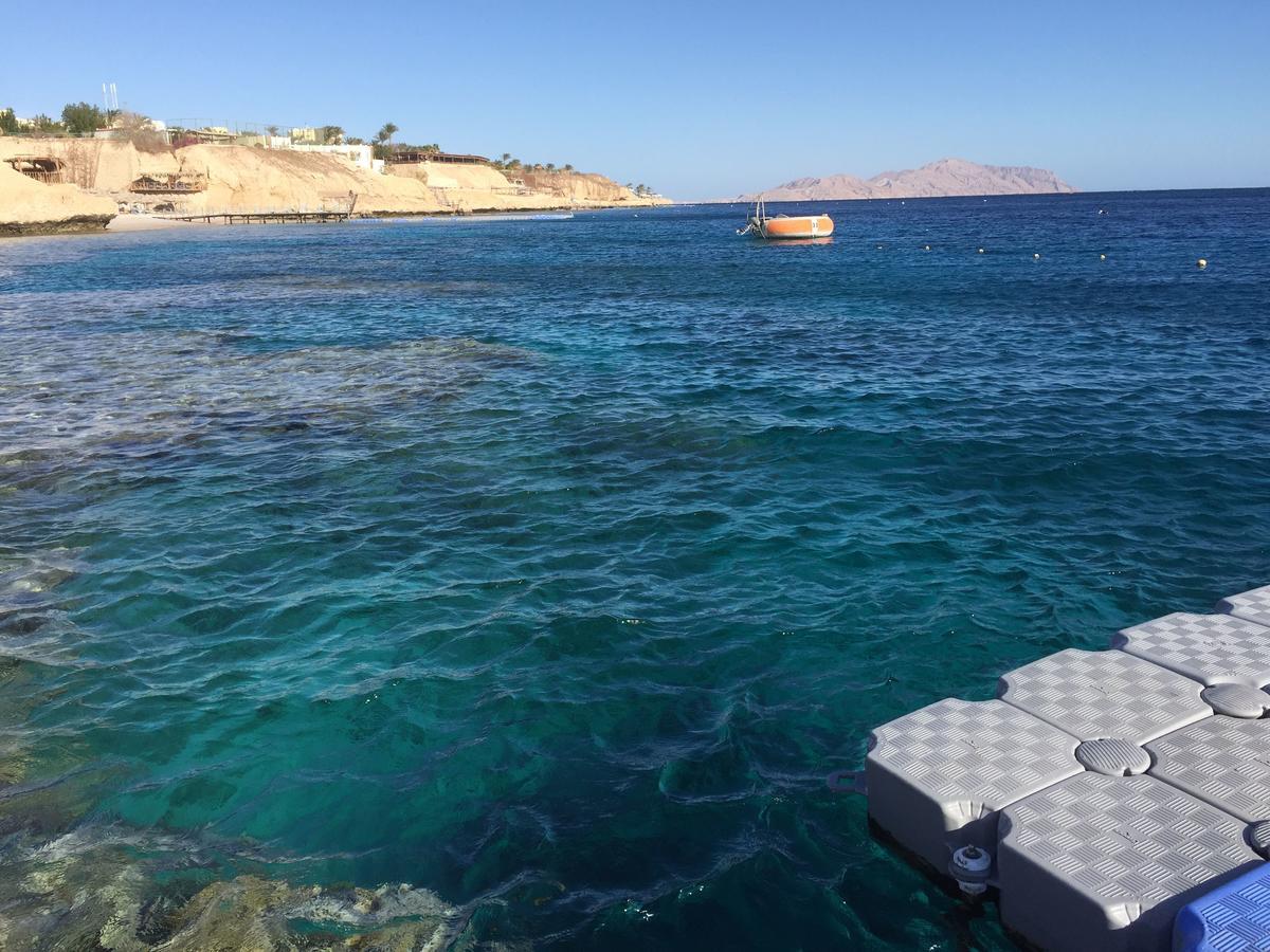 Sharks Bay Oasis Apartment Σαρμ Ελ Σέιχ Εξωτερικό φωτογραφία