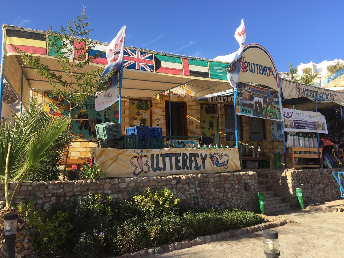 Sharks Bay Oasis Apartment Σαρμ Ελ Σέιχ Εξωτερικό φωτογραφία