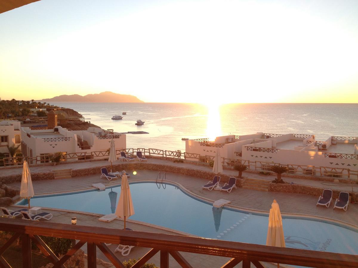 Sharks Bay Oasis Apartment Σαρμ Ελ Σέιχ Εξωτερικό φωτογραφία