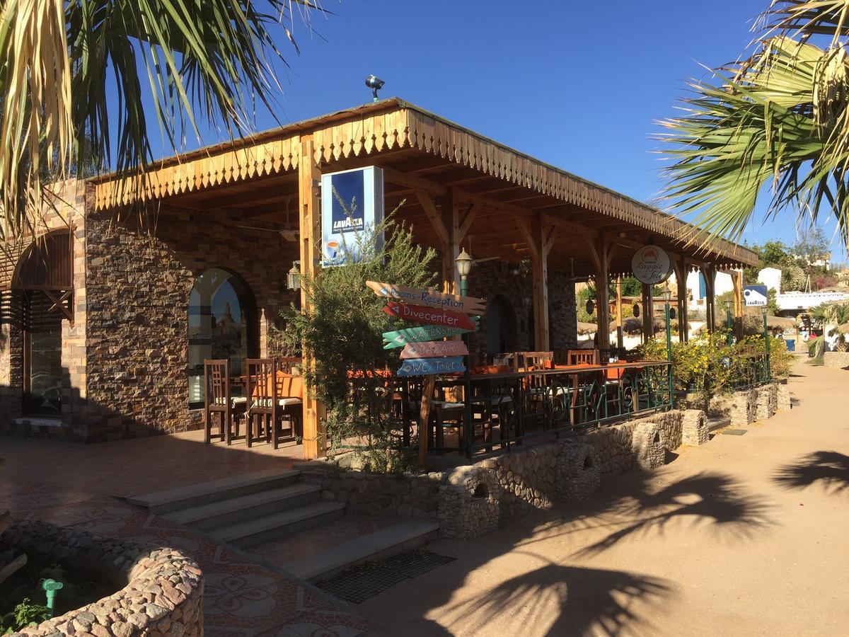 Sharks Bay Oasis Apartment Σαρμ Ελ Σέιχ Εξωτερικό φωτογραφία